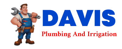 Trusted plumber in TREMENTINA